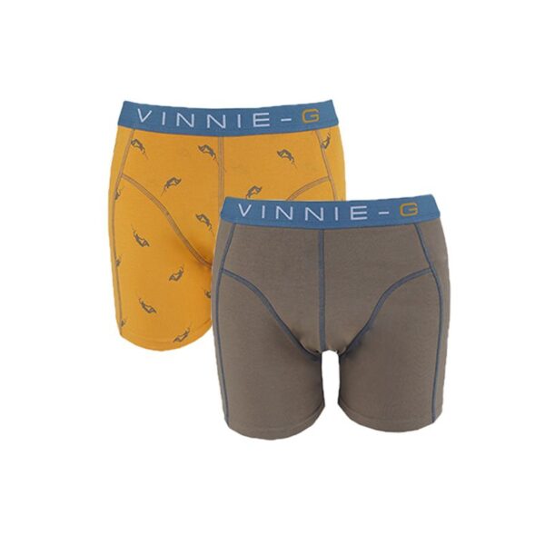 Vinnie-G Boys boxershorts Wakeboard Grey - Print 2-Pack-164/170